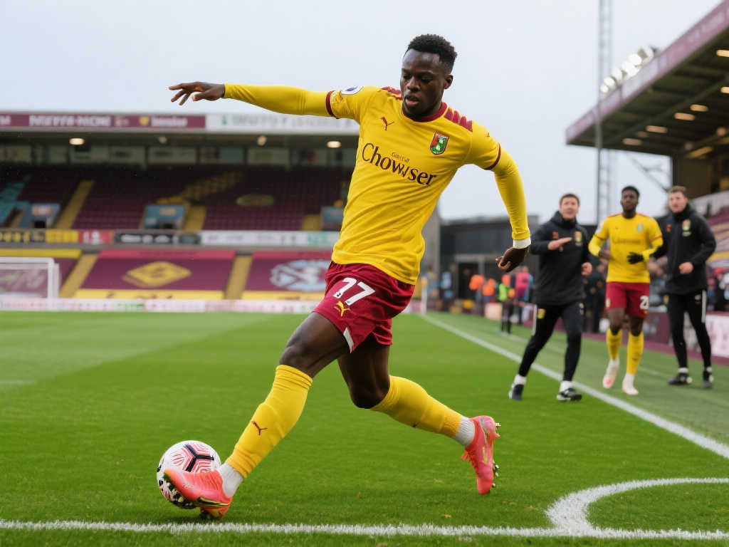 为球队提供 为球队提供